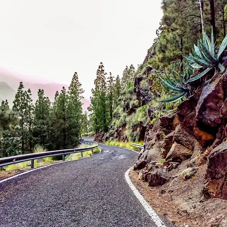 Tamadaba * Agaete (Gran Canaria)