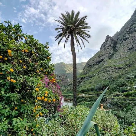 Tamadaba * Agaete (Gran Canaria)